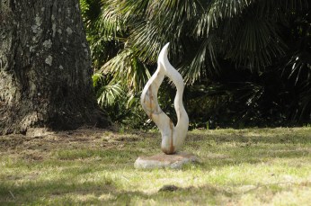 Massimiliano Roncatti