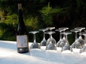 "Il Ghizzano" - Vino della Tenuta di Ghizzano